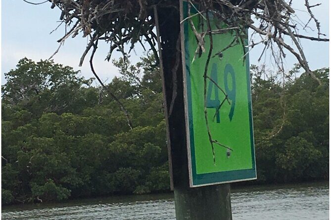 4 Hour Keewaydin Island Beach Tour - The Experience: What to Expect on the Tour