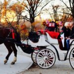 45 min Long VIP Central park carriage ride - What to Keep in Mind