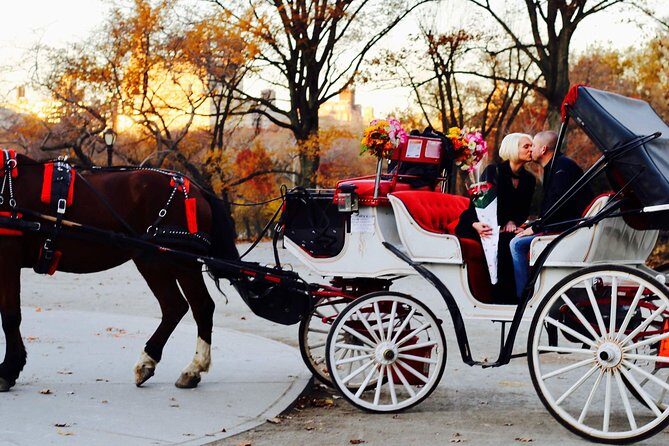 45 min Long VIP Central park carriage ride - What to Keep in Mind