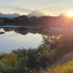 5-day In-Depth Yellowstone and Grand Teton National Park Tour - Practical Insights: What Makes This Tour Stand Out