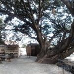 7 day circuit west: México, San Miguel, Guadalajara, Morelia - FAQs