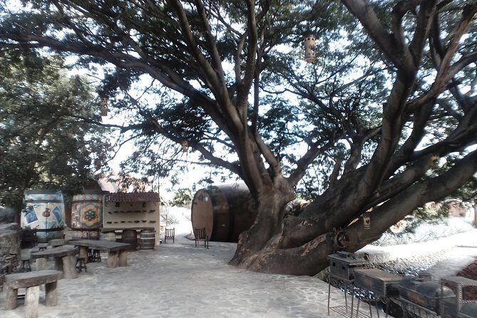 7 day circuit west: México, San Miguel, Guadalajara, Morelia - FAQs