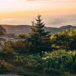 Acadia Cadillac Mountain Sunrise Half Day Private Tour & Hike - The Guides: Enthusiasts with Expertise