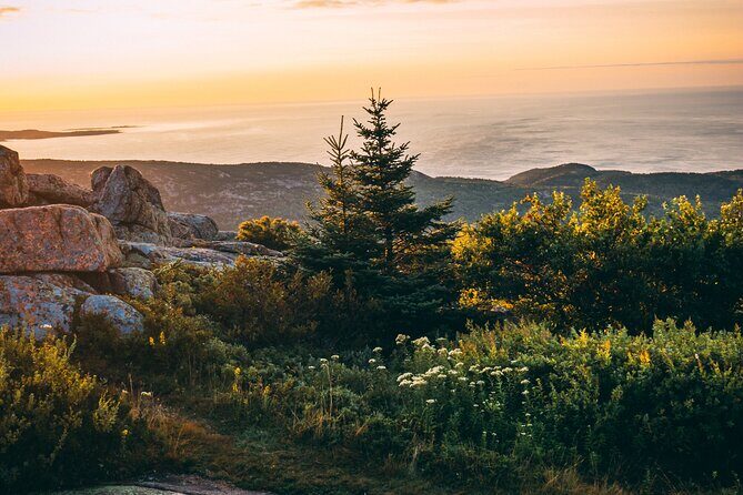 Acadia Cadillac Mountain Sunrise Half Day Private Tour & Hike - The Guides: Enthusiasts with Expertise
