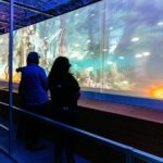 Africa Hologram Adventure at Zoocade - Equipment and Comfort