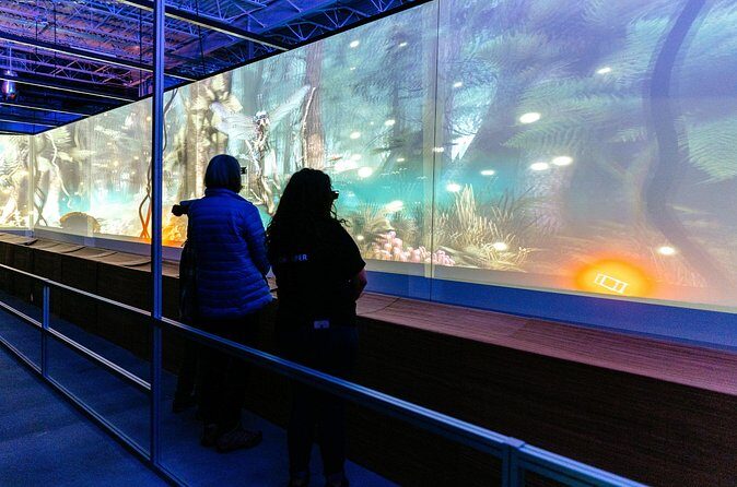 Africa Hologram Adventure at Zoocade - Equipment and Comfort