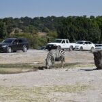 Africam safari (private tour) - FAQs