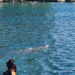 Afternoon Crystal River Ecological Boat Tour - The Itinerary in Detail