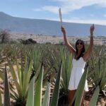 Agave Adventures Mexico - Potential Considerations