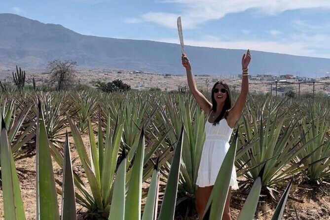 Agave Adventures Mexico - Potential Considerations