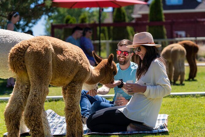 Alpaca Picnic Experience in Oregon - Authentic Experiences from Past Visitors