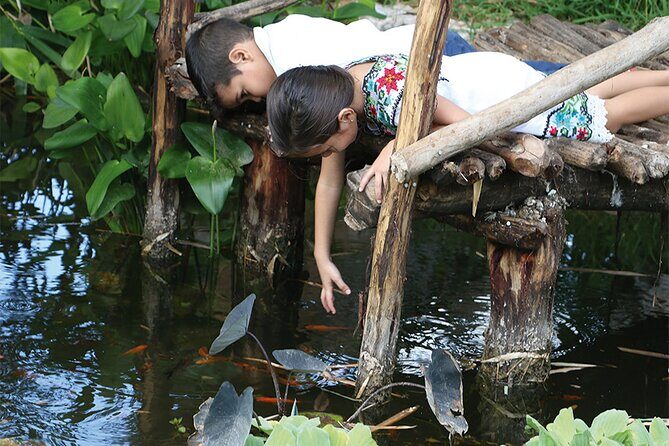 Ancestral Mayan Private Culinary Experience in Merida - Who Will Love This Experience?  