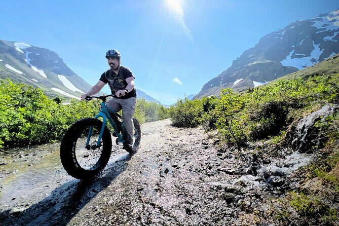 Anchorage Scenic Mountain Bike Tour - Who Is This Tour Best For?