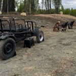 Anchorage's Authentic Dog Sledding Experience - The Value of This Tour