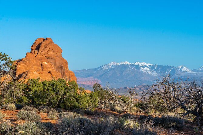 Arches National Park Half Day Tour - Dive Into the Detailed Itinerary