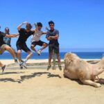 ATV and Camel Ride COMBO Adventure - Detailed Breakdown of the Tour