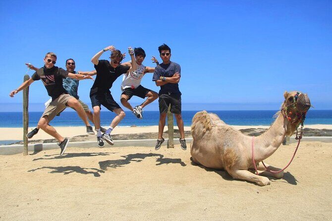 ATV and Camel Ride COMBO Adventure - Detailed Breakdown of the Tour