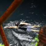 Atv Tour In Cancun (swim Cenote, Tarzan Jump And 5 Ziplines Included) - Authentic Experiences & Reviewer Insights