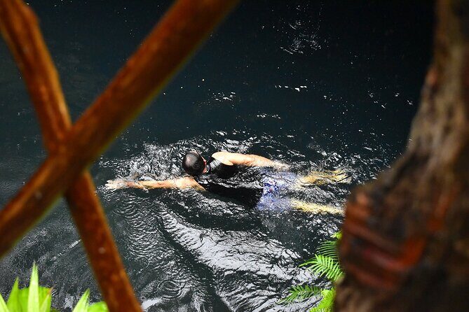 Atv Tour In Cancun (swim Cenote, Tarzan Jump And 5 Ziplines Included) - Authentic Experiences & Reviewer Insights