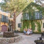 ATV Vineyard Tour and Wine Tasting - What to Expect: The Itinerary Breakdown