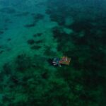 Bacalar Yoga Class on Floating Platform in Laguna - The Practical Details: Pricing, Duration, and Logistics