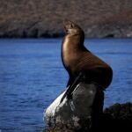 Balandra Private Boat Tour - Final Thoughts