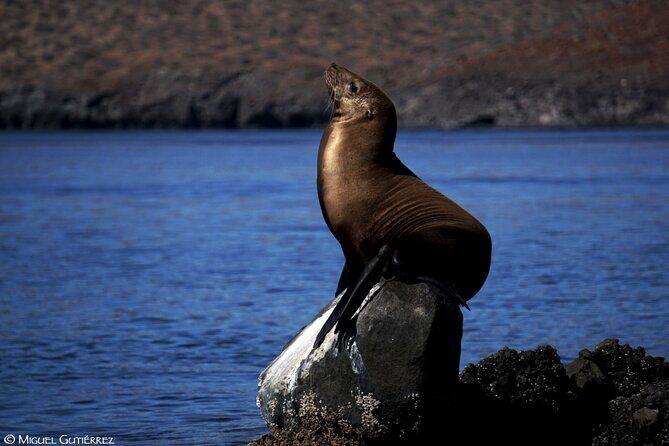 Balandra Private Boat Tour - Final Thoughts