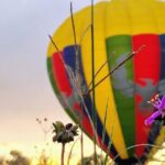 Balloon Flight with Breakfast and Transportation in Teotihuacan - Authentic Insights from Travelers