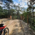 Banderas Jeep Tour - Who Is This Tour Best For?