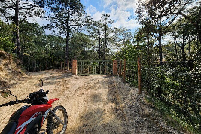 Banderas Jeep Tour - Who Is This Tour Best For?