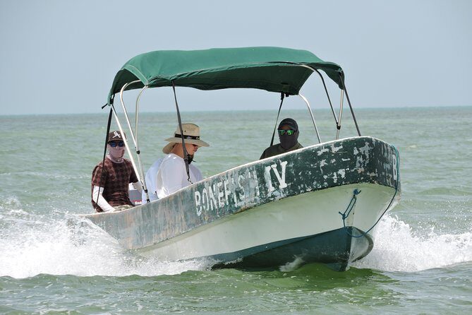 Barracuda Fishing Day Cancun - What the Reviews Reveal