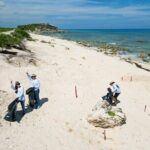 Beach Guardians Clean up & Picnic plus Otoch Mayan Experience - What’s Included and What’s Not