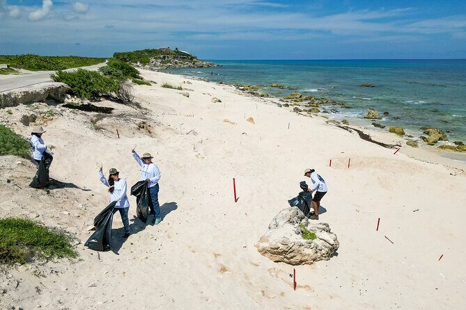 Beach Guardians Clean up & Picnic plus Otoch Mayan Experience - What’s Included and What’s Not