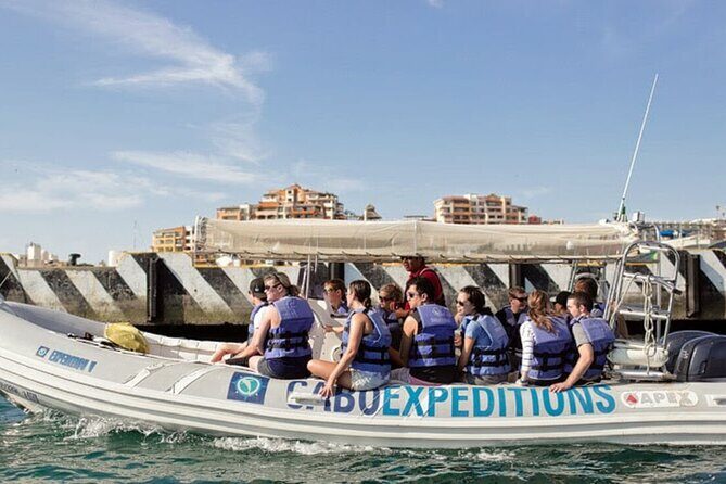 Beach Hopper, Amazing Snorkel Experience At Los Cabos! - Who Is This Tour Best For?