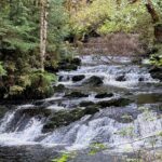 Beautiful Hike on Tongass National Forest's Lunch Creek Trail - Whats Included and How It Adds Value
