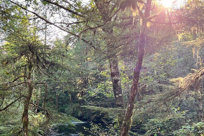 Beautiful Nature Walk On Ketchikan's Ward Creek Trail - FAQ