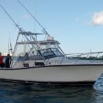 Bertram 35ft boat sport fishing cancun up to 6 passengers - The Sum Up