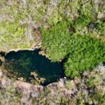 Best of Cozumel Tour - Authentic, Guided Experience with Local Insights