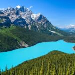 Best of Glaciers from Calgary/Canmore/Banff - Transportation and Comfort