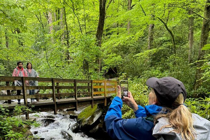 Best of the Smokies Custom Private Tour - The Hike and Scenery: Authentic and Stunning
