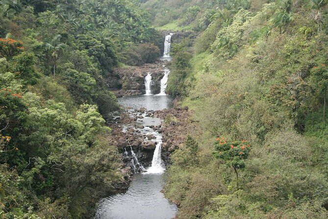 Big Island Waterfall Wonders Slingshot Private Tour - What Travelers Say: Pros and Cons
