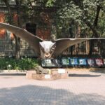 Bike tour in the Chapultepec Forest and Roma Condesa - A Closer Look at the Itinerary