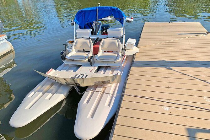 Bioluminescence Night Craigcat Tours - Who Will Love This Experience?