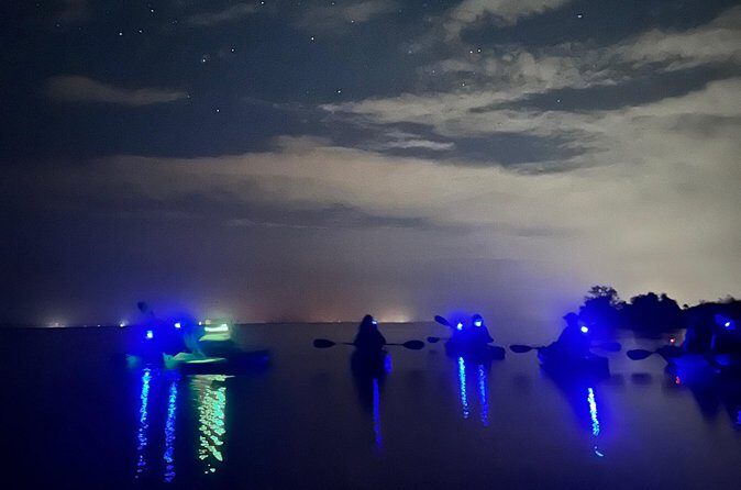 Bioluminescent Kayak Tour in Floridas Indian River Lagoon - Final Thoughts