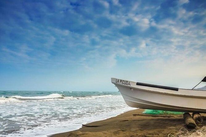 Bird watching in La Mancha - The Bird Watching Experience  