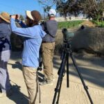 Birding By Sea and Land 4hr. La Paz Mexico - The Logistics: Transportation, Timing, and Group Size