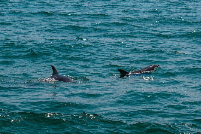 Boat Tour Snorkeling Tour with Guide, Drinks and Fruit - Practical Details and What to Expect