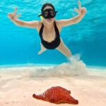 Boat Tour to Heaven in Cozumel with Ceviche - Detailed Itinerary and Experience