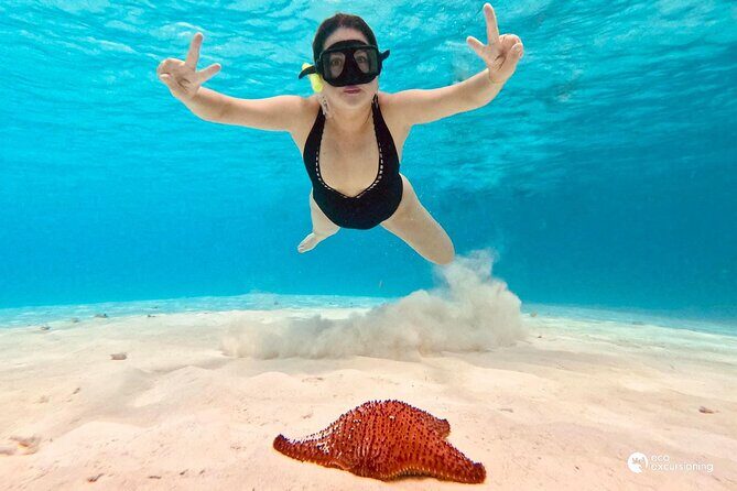 Boat Tour to Heaven in Cozumel with Ceviche - Detailed Itinerary and Experience