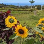 Botanical Tour and waterfall swim at The Cloudforest Bioreserve - Who Would Love This Experience?